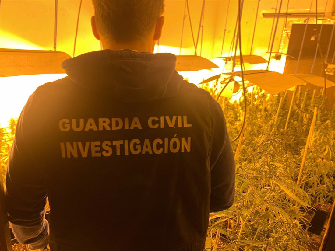 Operación Vicinitas de la Guardia Civil (GUARDIA CIVIL)