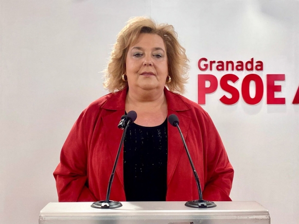 La diputada provincial del PSOE Fátima Gómez, en imagen de archivo (PSOE) La diputada provincial del PSOE Fátima Gómez, en imagen de archivo (PSOE)