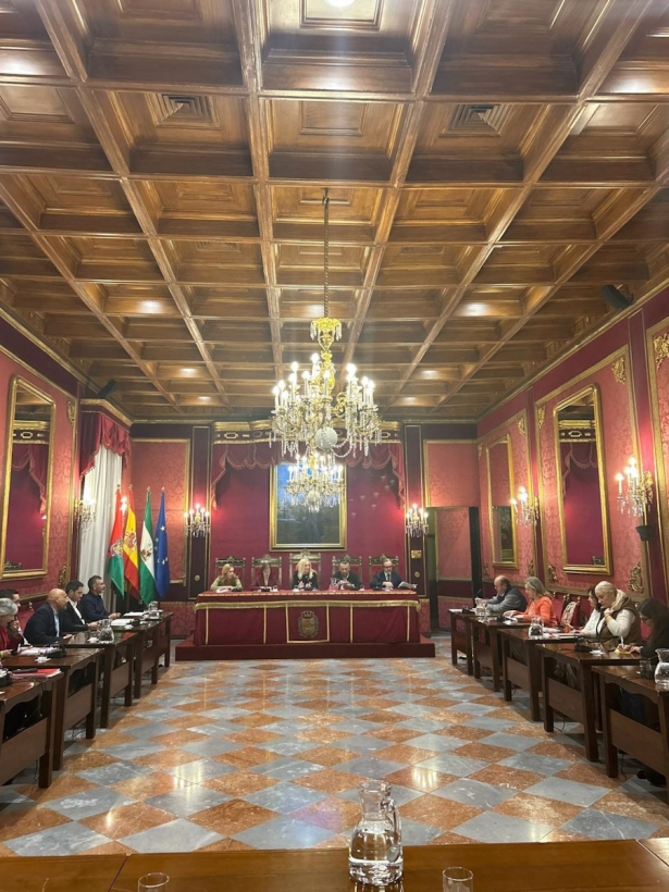Consejo municipal de comercio presidido por la edil Elisa Campoy en su última reunión (AYUNTAMIENTO) Consejo municipal de comercio presidido por la edil Elisa Campoy en su última reunión (AYUNTAMIENTO)
