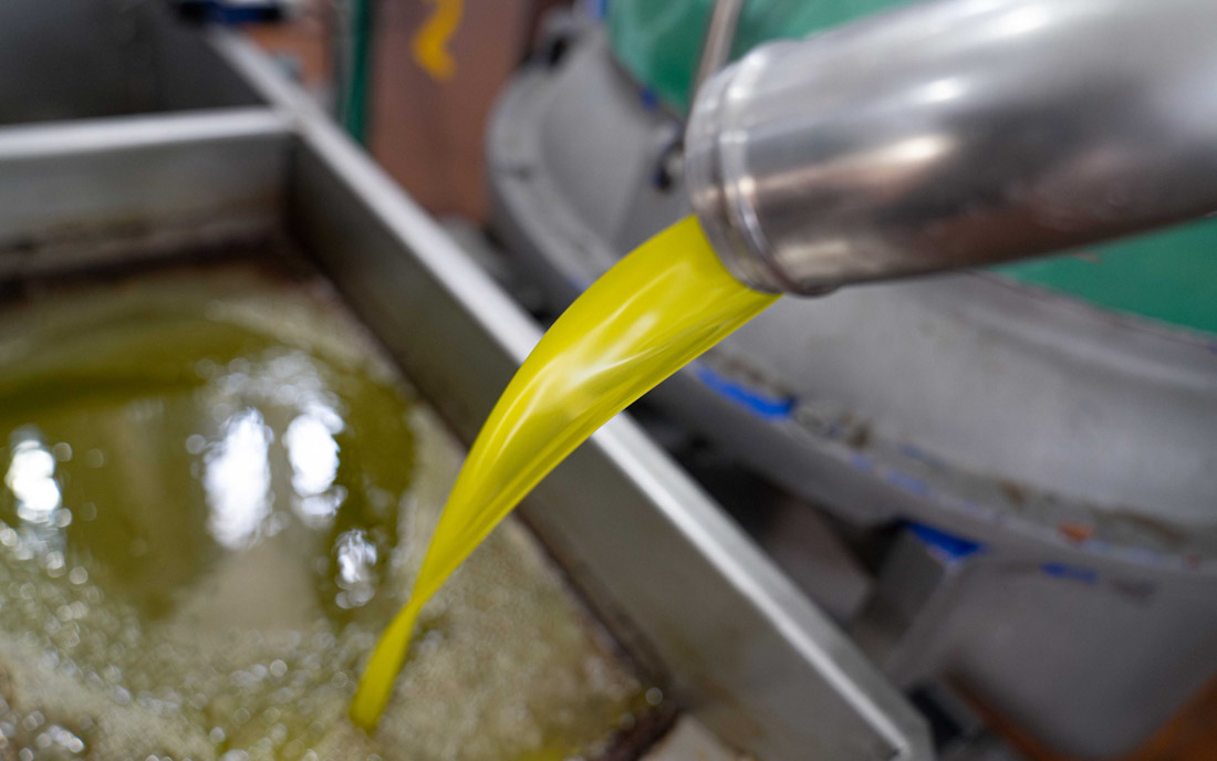Producción de aceite (E. LÓPEZ)