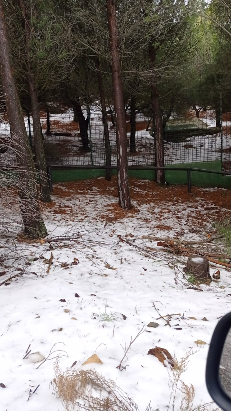 Nieve en Peña Escrita (AYUNTAMIENTO)