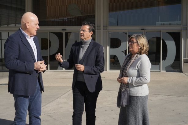 (PSOE) (PSOE)