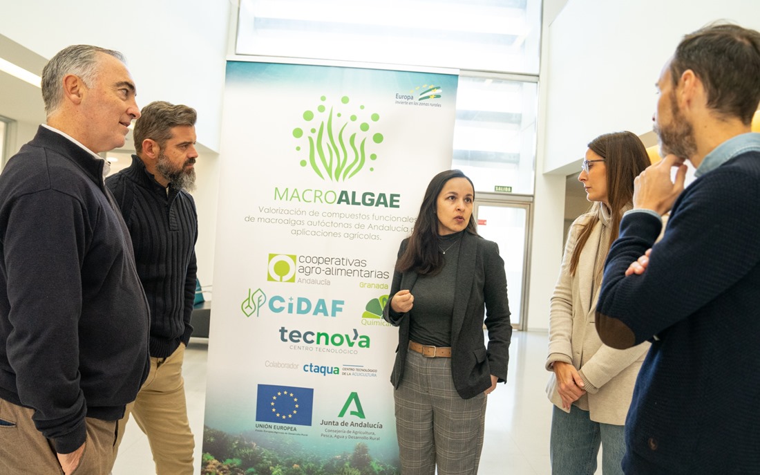 Presentación del proyecto (FAECA)