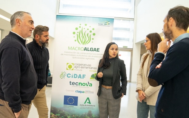 Presentación del proyecto (FAECA)