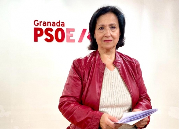 (PSOE) (PSOE)