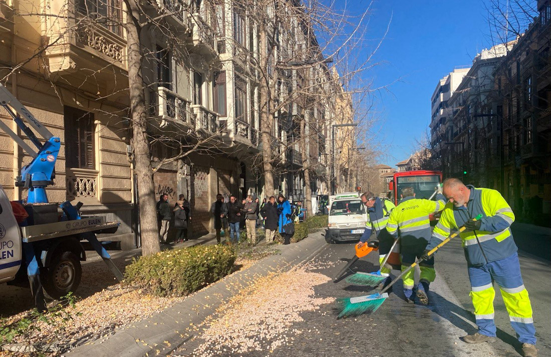 Tareas de limpieza en Gran Vía (AYTO. GRANADA)