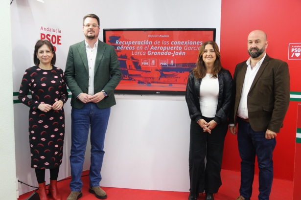 (PSOE) (PSOE)