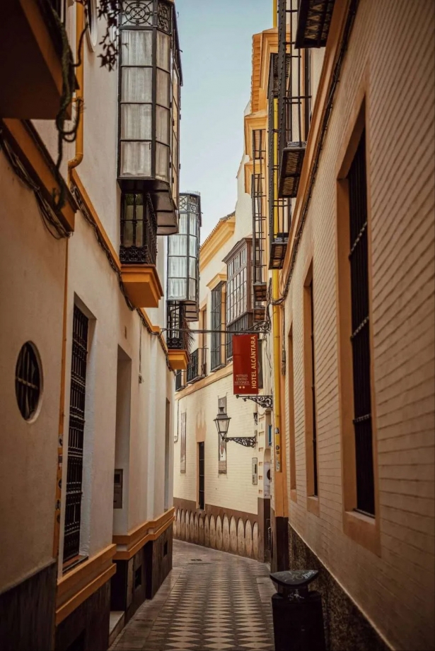 (AVITARGRANADA) (AVITARGRANADA)