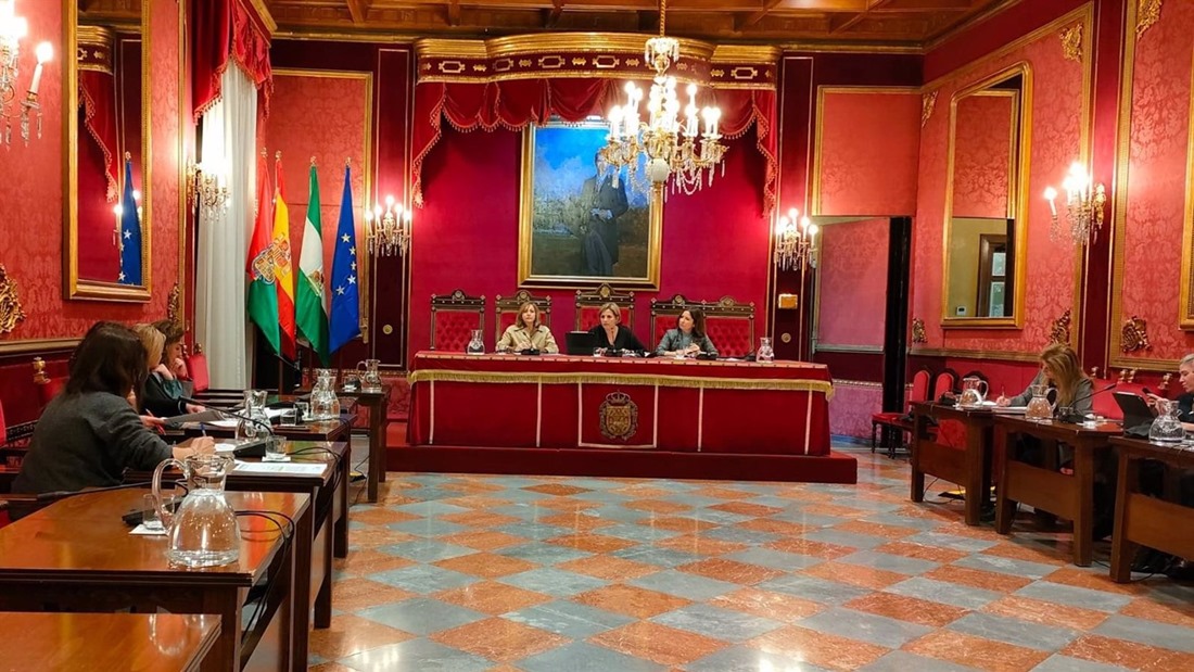 Comisión de Protección Ciudadana y Movilidad del Ayuntamiento de Granada (EUROPA PRESS)