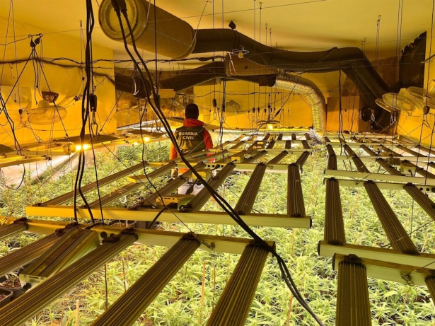 Centro de producción de plantas de marihuana en Güevéjar (GUARDIA CIVIL)