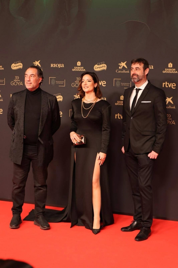 Alfombra roja de los Premios Goya (JOSÉ ANDRÉS FERNÁNDEZ) Alfombra roja de los Premios Goya (JOSÉ ANDRÉS FERNÁNDEZ)