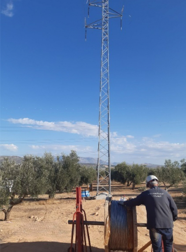 Endesa refuerza la red eléctrica de la comarca de los Montes Orientales (ENDESA) Endesa refuerza la red eléctrica de la comarca de los Montes Orientales (ENDESA)