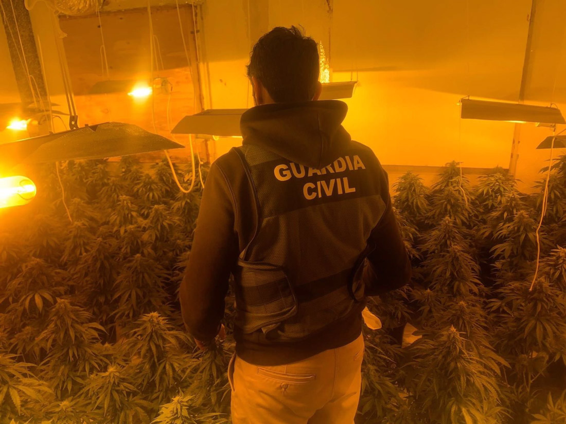 Imagen de archivo de una operación contra el cultivo ilegal de marihuana (GUARDIA CIVIL)