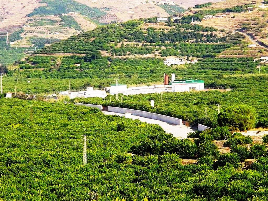 Vega de Río Verde, en imagen de archivo (AYUNTAMIENTO)