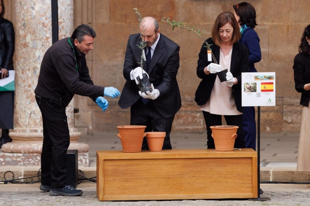 Los presidentes del Senado y del Congreso, Pedro Rollán y Francina Armengol, en el centro y en la derecha en la imagen, plantan ejemplares de olivo en el Palacio de Carlos V (ÁLEX CÁMARA/EUROPA PRESS)