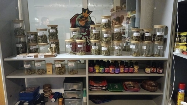 Registro en el desmantelamiento de una plantación de marihuana bajo techo (POLICÍA NACIONAL) Registro en el desmantelamiento de una plantación de marihuana bajo techo (POLICÍA NACIONAL)
