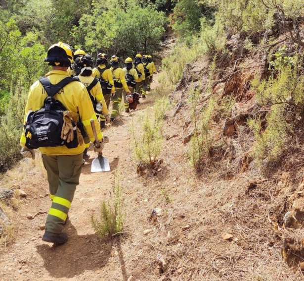 Bomberos del Infoca, en imagen de archivo (INFOCA) Bomberos del Infoca, en imagen de archivo (INFOCA)