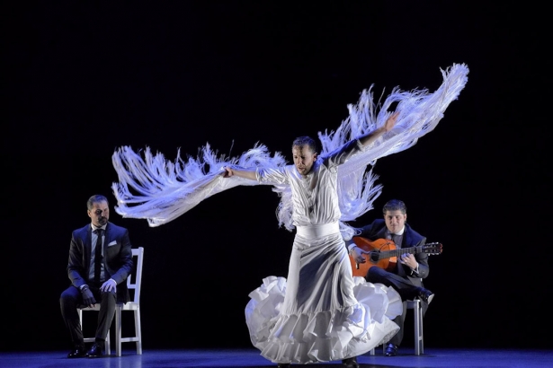 Imagen de archivo del bailaor Manuel Liñan durante un espectáculo flamenco (JUNTA DE ANDALUCÍA)