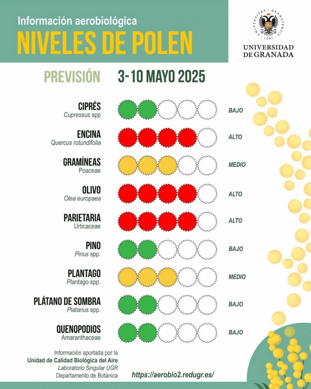 Niveles de polen entre el 3 y el 10 de mayo (UGR) Niveles de polen entre el 3 y el 10 de mayo (UGR)