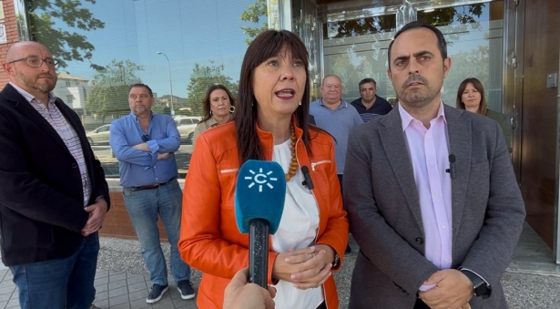 (PSOE) (PSOE)