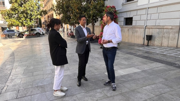 (PSOE) (PSOE)