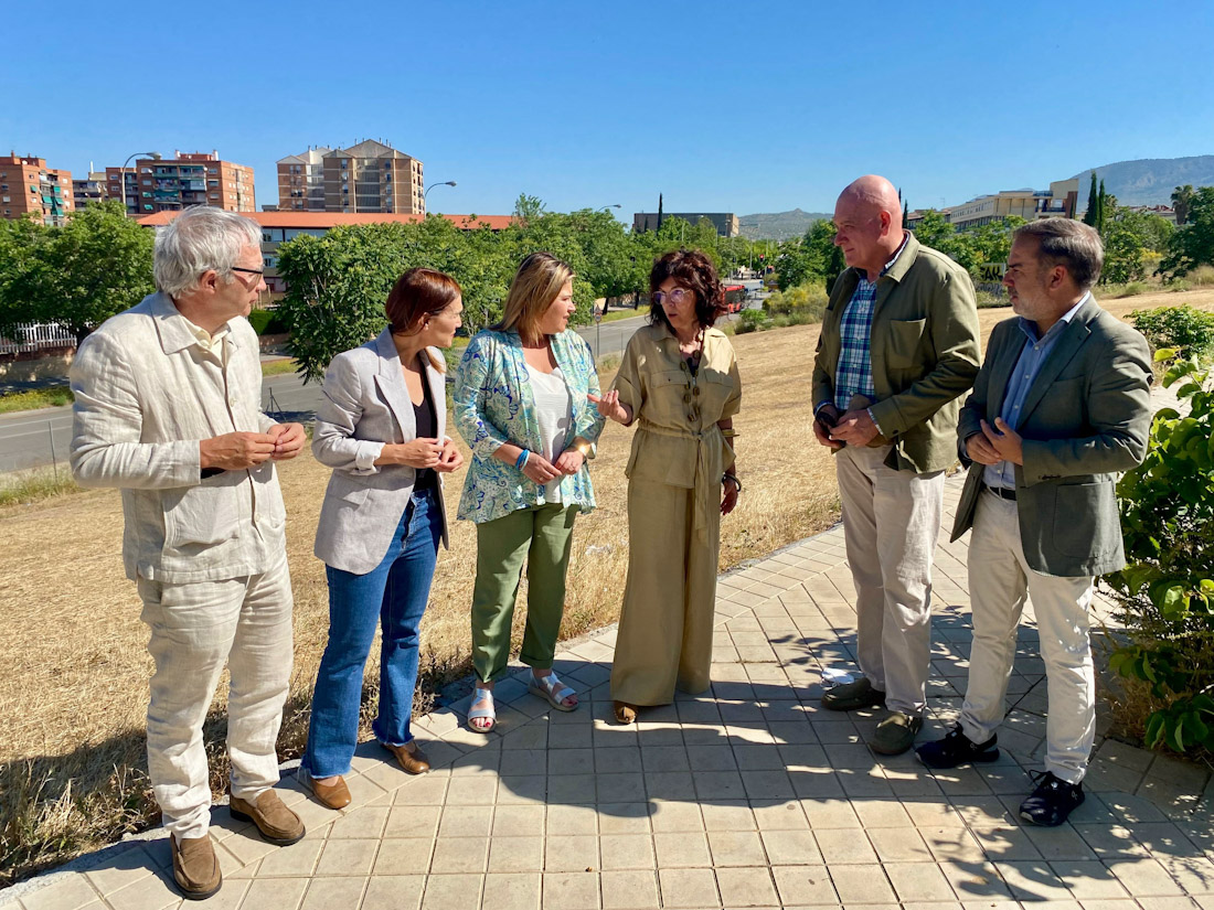 (PSOE)