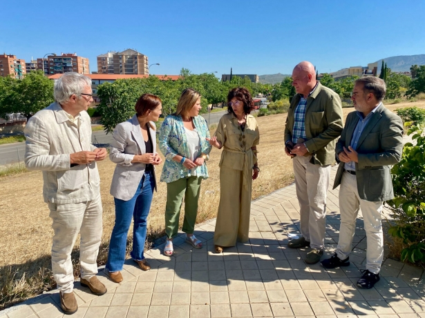 (PSOE) (PSOE)