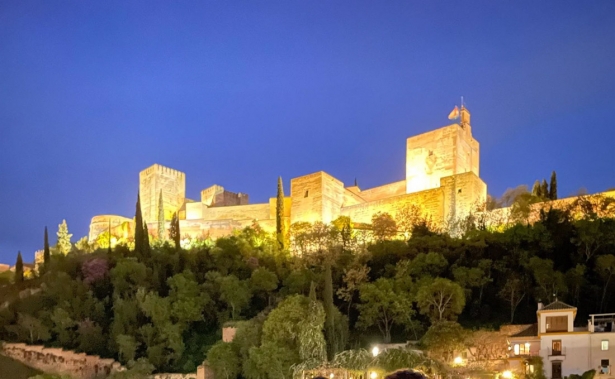 Entorno del Bosque de la Alhambra, en imagen de archivo (UNIVERSIDAD DE GRANADA)