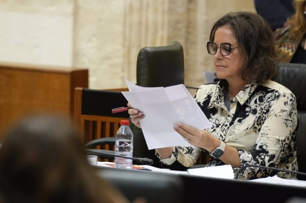 Catalina García, durante su intervención en la sesión plenaria (MARÍA JOSÉ LÓPEZ / EUROPA PRESS) Catalina García, durante su intervención en la sesión plenaria (MARÍA JOSÉ LÓPEZ / EUROPA PRESS)