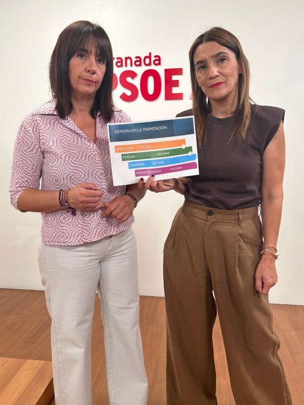 (PSOE) (PSOE)