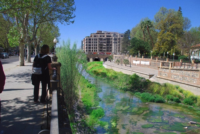 Recreación de un proyecto de regeneración para el río Genil, en imagen de archivo (ECOLOGISTAS EN ACCIÓN)