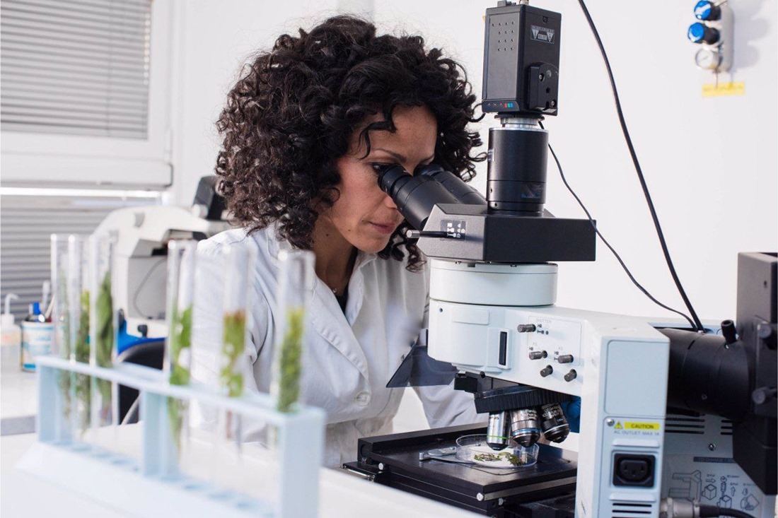 Investigadora. (UNIVERSIDAD DE GRANADA)