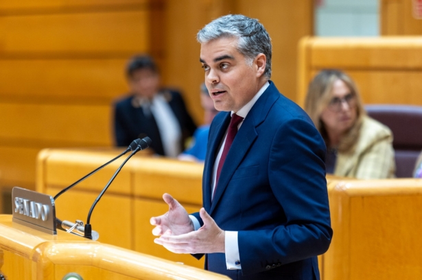 El senador del Partido Popular, Vicente Azpitarte (PP)