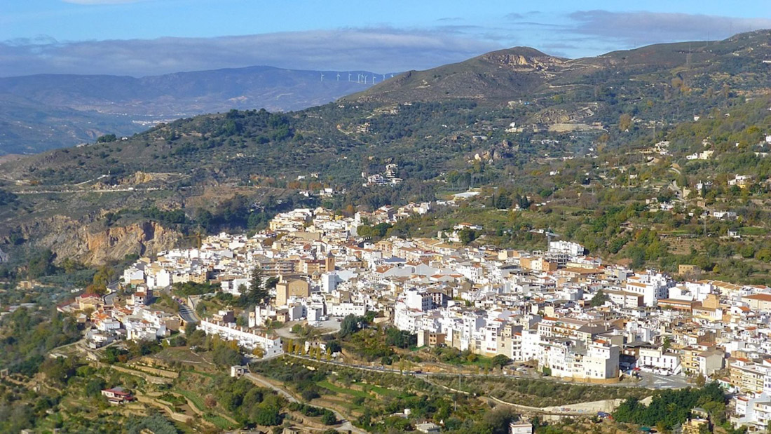 (PSOE)