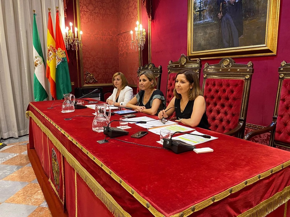 (AYUNTAMIENTO DE GRANADA)