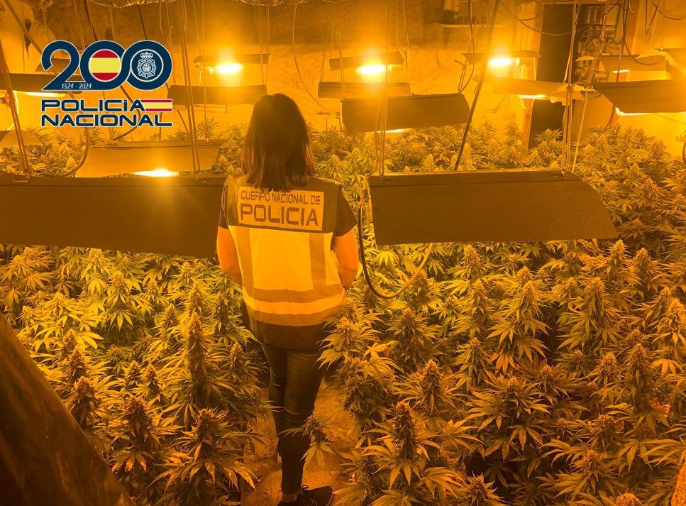 (POLICIA NACIONAL)