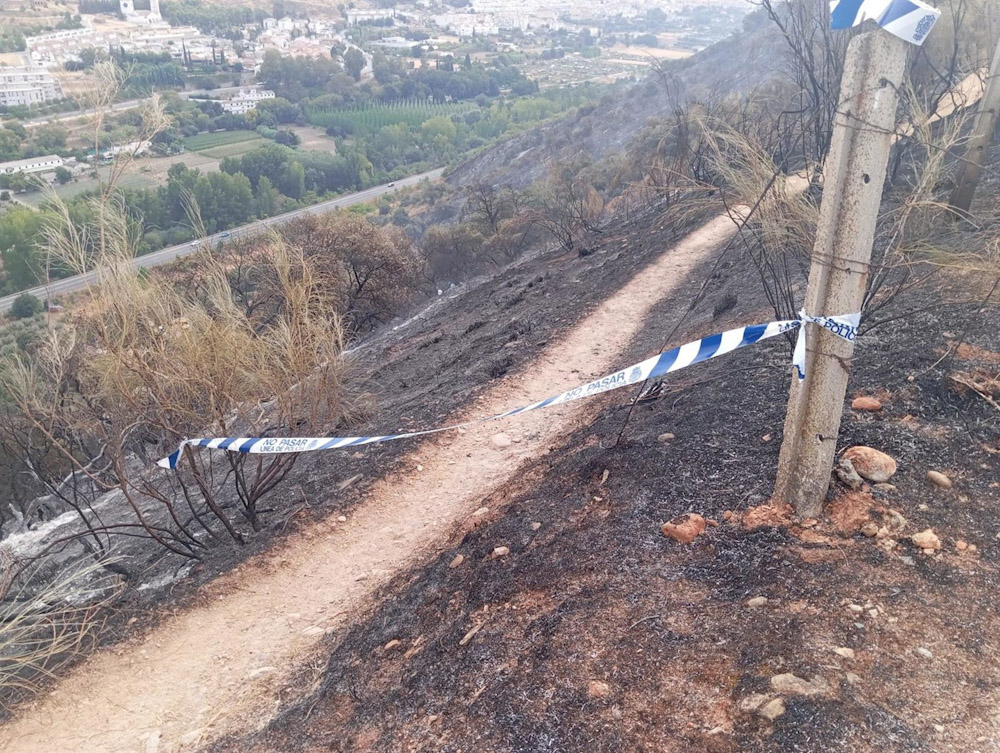 Imagen de los restos del incendio del paraje la Fuente de la Bicha, en Granada capital. (JUNTA DE ANDALUCÍA)