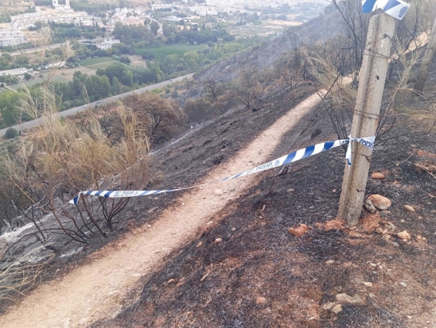 Imagen de los restos del incendio del paraje la Fuente de la Bicha, en Granada capital. (JUNTA DE ANDALUCÍA)