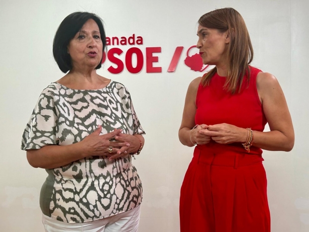 (PSOE) (PSOE)