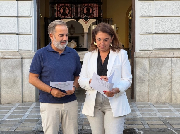 (PSOE) (PSOE)