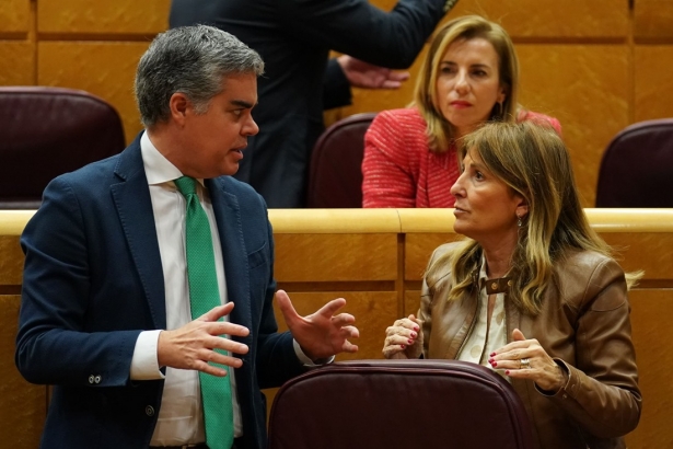 Vicente Azpitarte (PP)