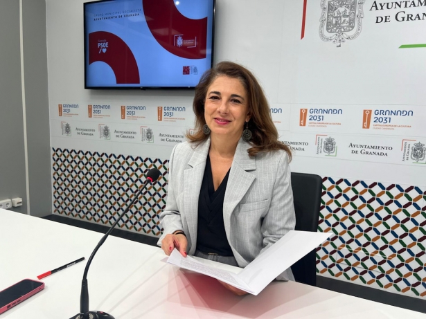 (PSOE) (PSOE)