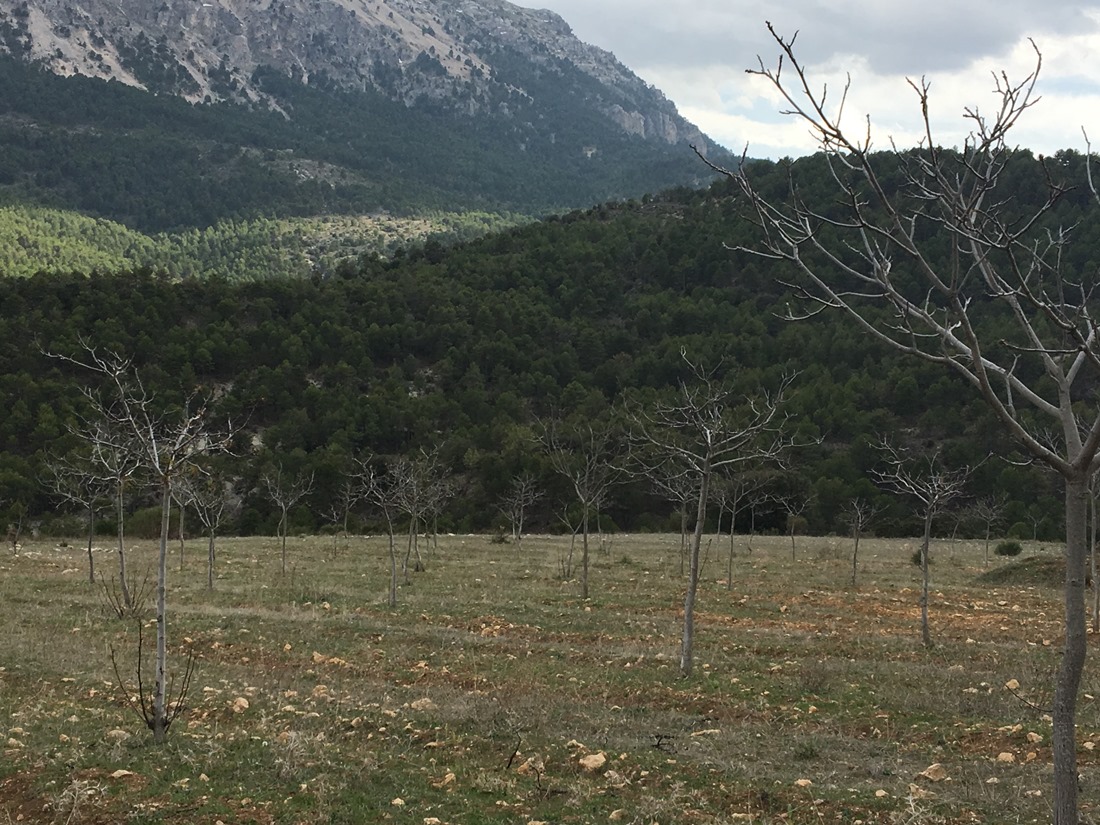Sierra de La Sagra (ASAJA)