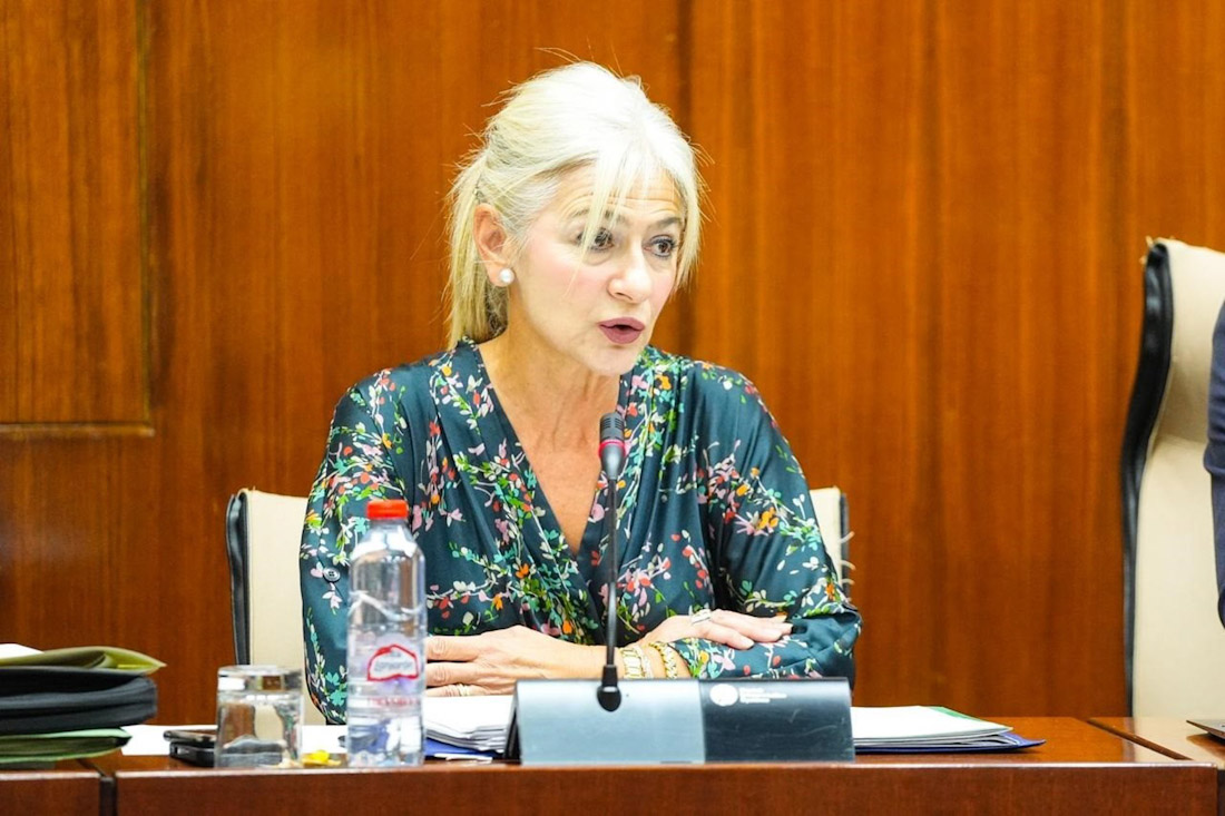 La consejera de Cultura y Deporte, Patricia del Pozo (JUNTA)
