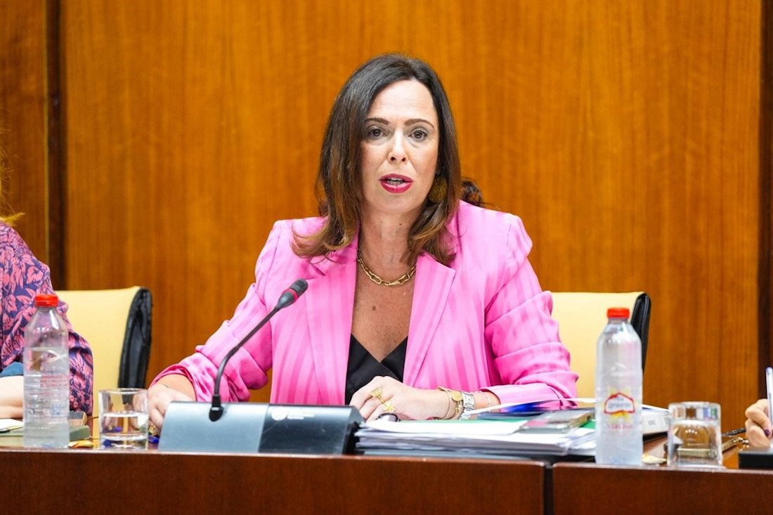 La consejera de Fomento, Articulación del Territorio y Vivienda, Rocío Díaz, en comisión parlamentaria (JOAQUÍN CORCHERO-PARLAMENTO DE ANDALUCÍA)