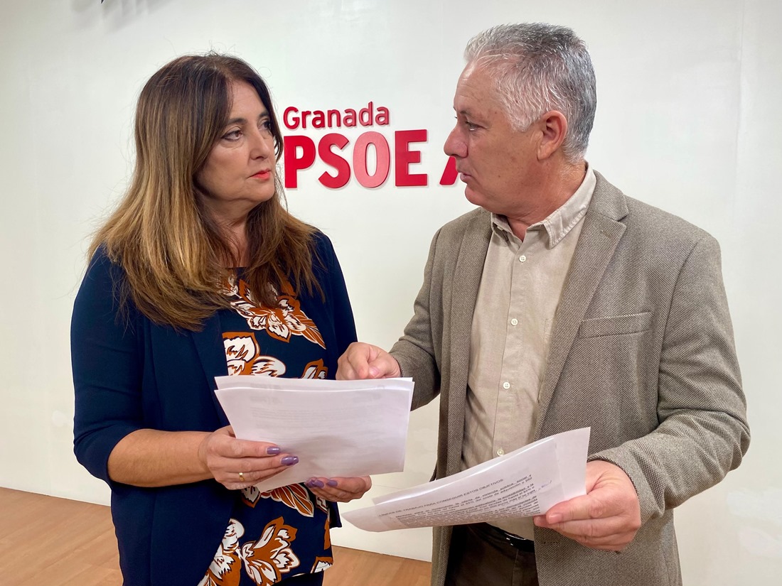(PSOE)