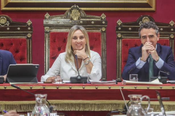 Pleno del Ayuntamiento de Granada (GPMEDIA)