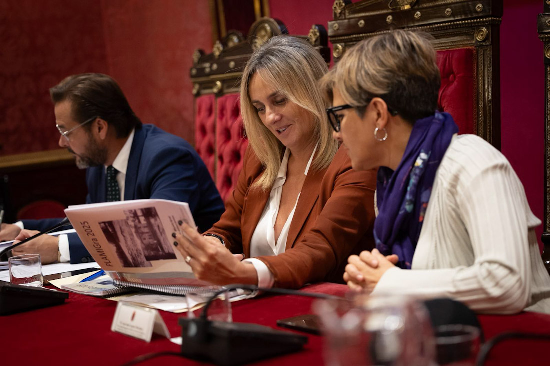 (AYTO. GRANADA)