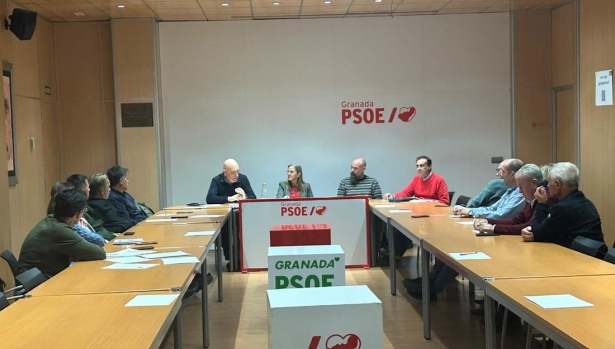 (PSOE) (PSOE)
