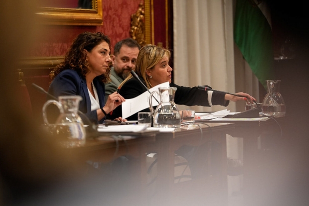 (PSOE)